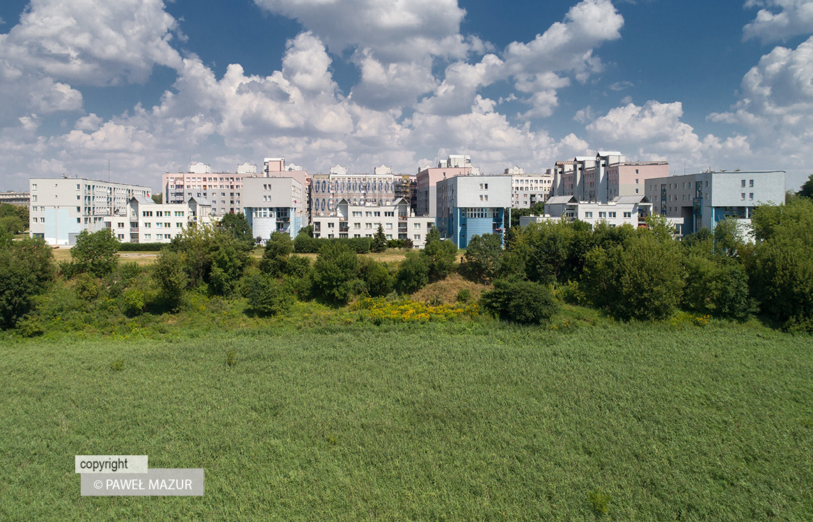DJI_0219_200811