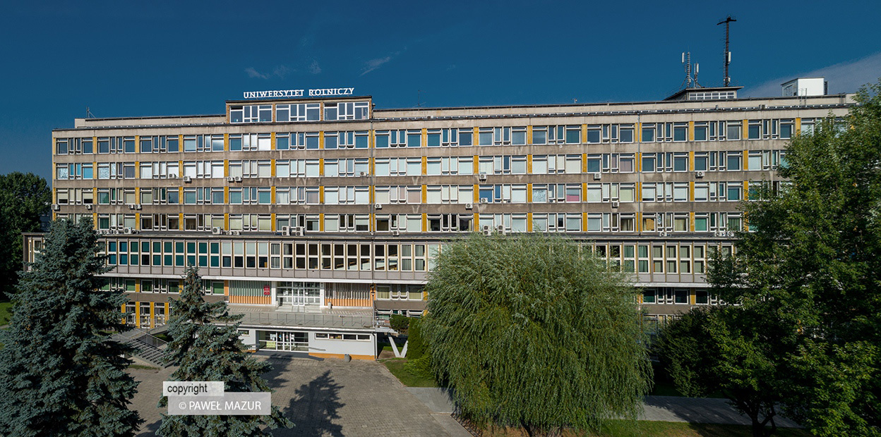 DJI_0206-Pano_200818